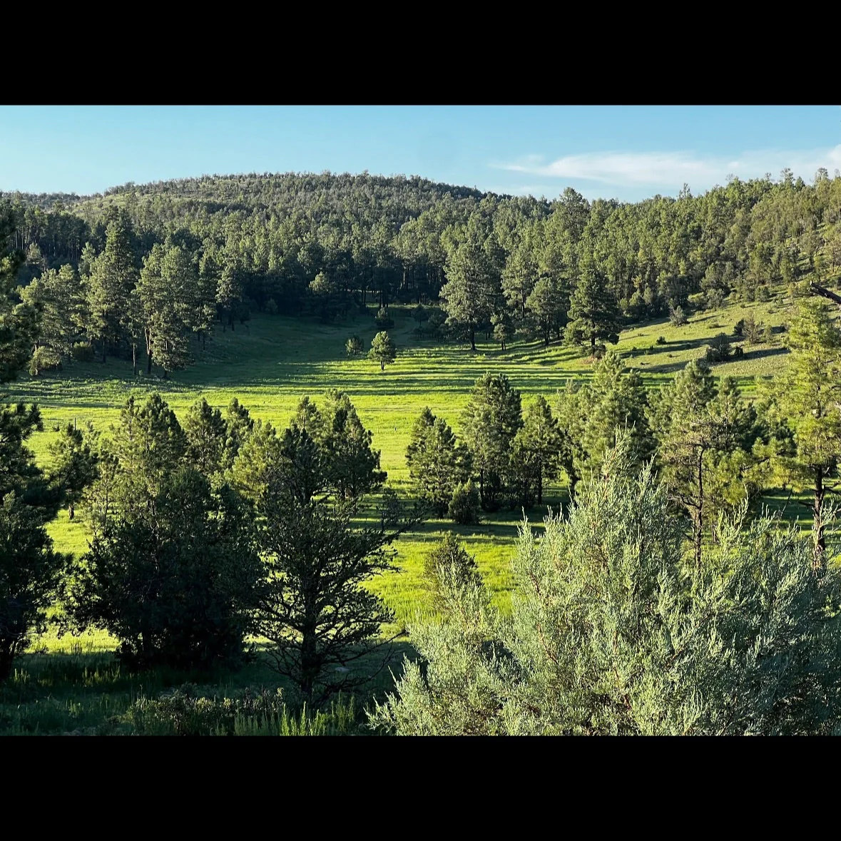 BASIC MEMBERSHIP + 2025 DREAM HUNT GIVEAWAY #1 - 🎟️ 10 ENTRIES - Image 9