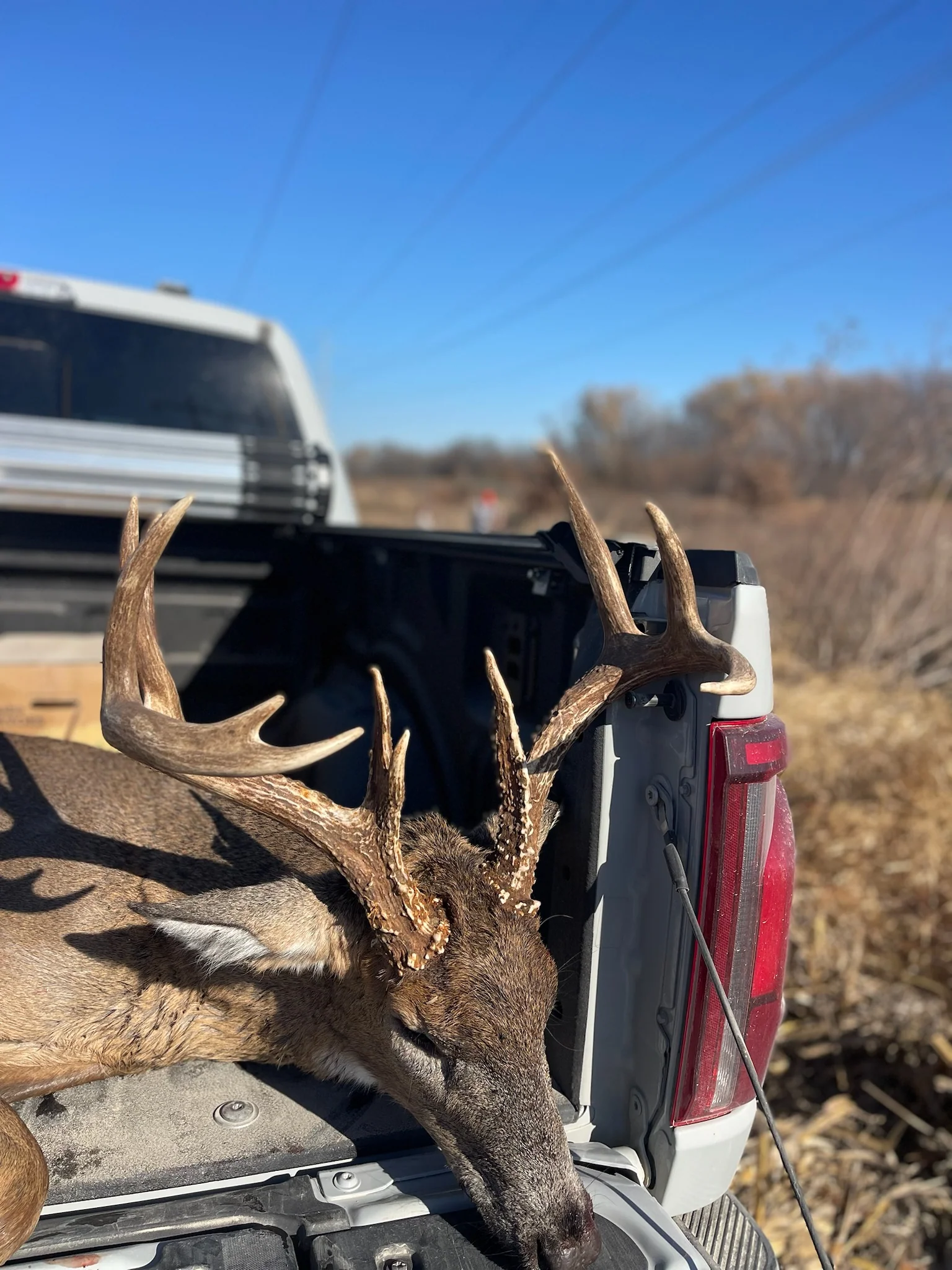Outdoorsman Missouri Whitetail Deer Farms - Image 18