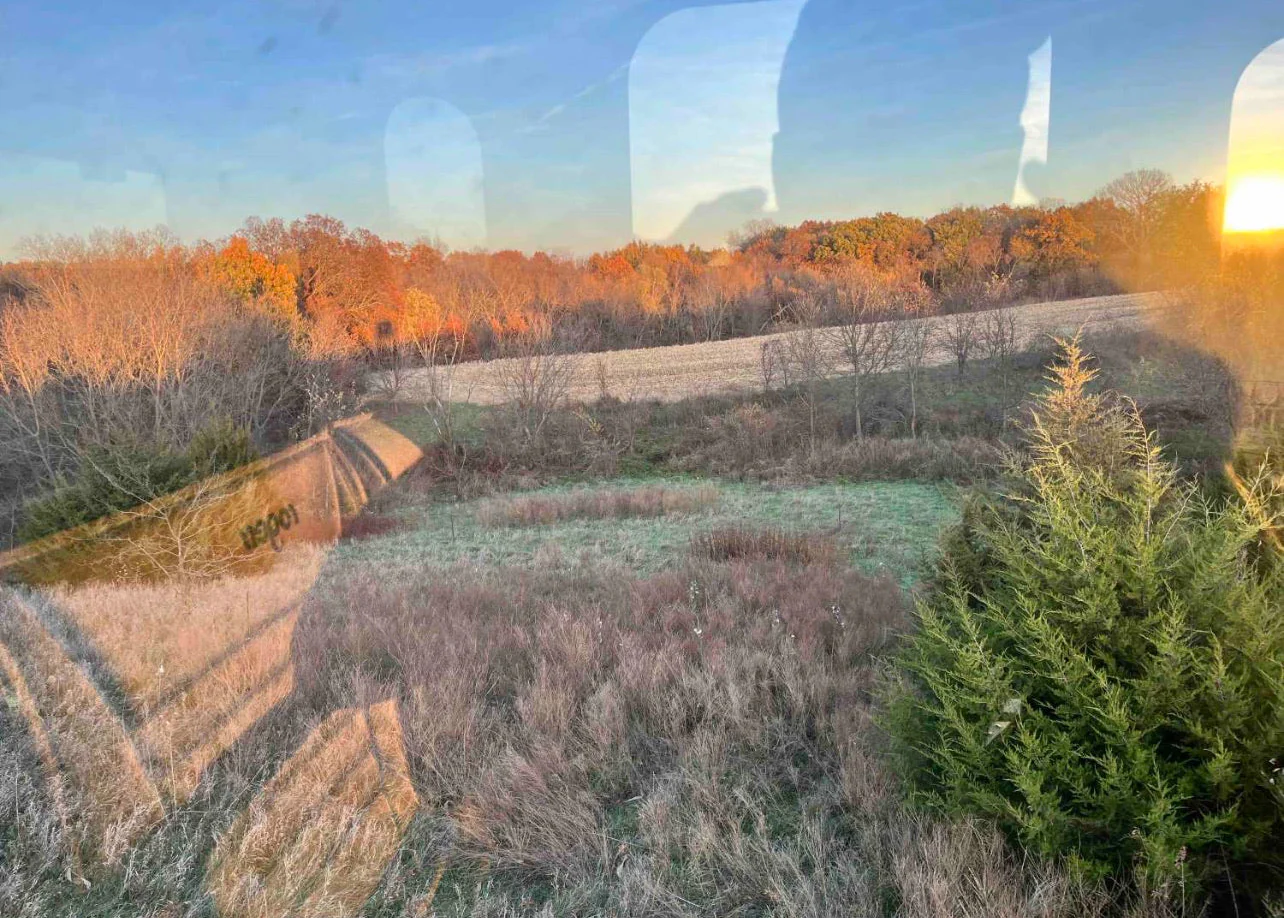 Outdoorsman Missouri Whitetail Deer Farms - Image 3